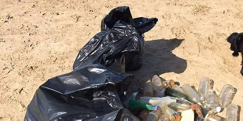 Beach litterpicks