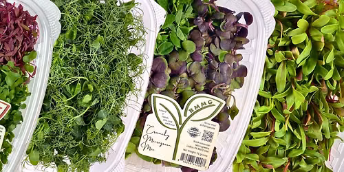 Bloom Naturally - Taste & See Event