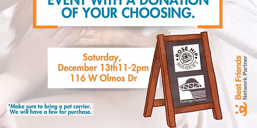 Pop-Up Adoption Cat Cafe