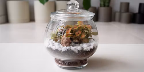 Bubble Terrarium