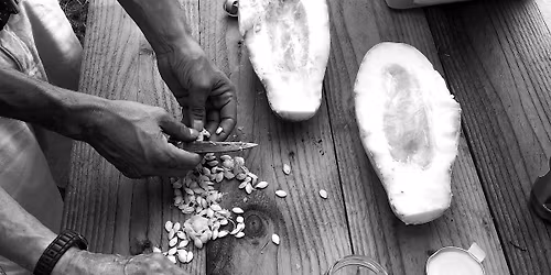 Seed to Seed (Harvesting, Saving & Sharing)