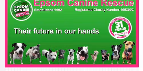 Come and see us at Langley Vale Christmas Fair - dog stuff AND gifts