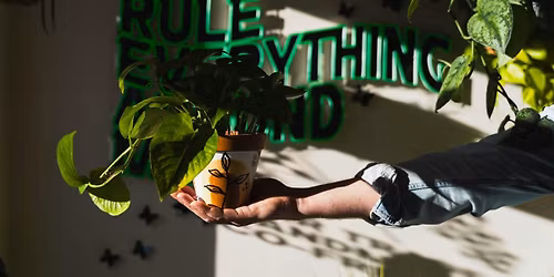 Terracotta Pot Painting w\/ Denver Plant Club (11\/16\/25)