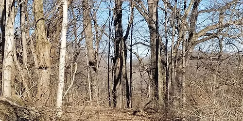 Ohio River Chapter Hike - October