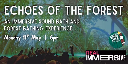 Echoes of the forest -  a sound bath immersive experience