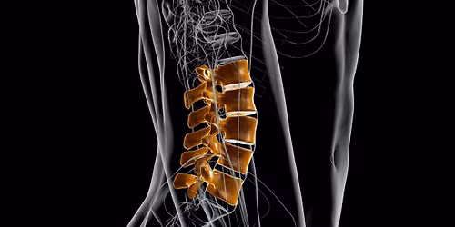 CBP\u00ae Lumbar Rehab