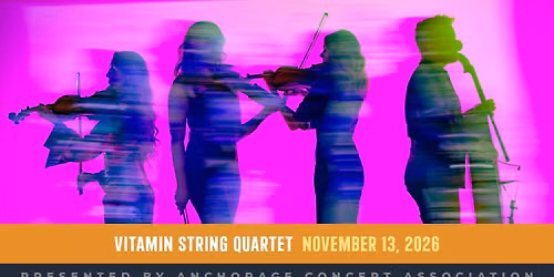 Vitamin String Quartet 