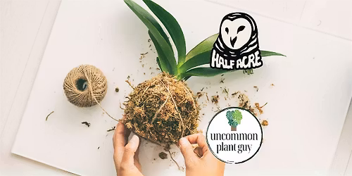 Houseplant Workshop @ Half Acre Beer Co.