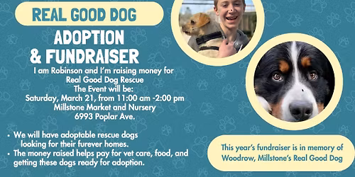 Meet and Greet Adoptable pets