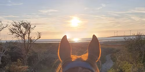 Endurance Voorne aan Zee 2026