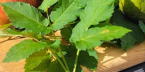 Workshop "Gr\u00fcnes Detox"