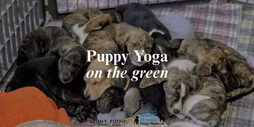 Adoptable Puppy Yoga with Stony Point Fashion Park & Richmond Ruff House