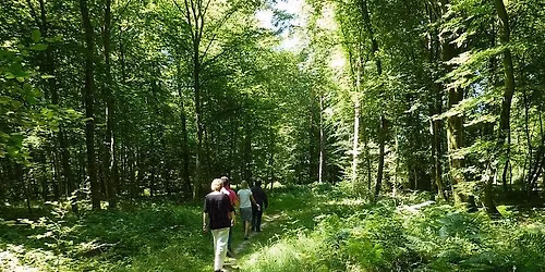 La For\u00eat d\u2019Arelaune et la Route des Chaumi\u00e8res.