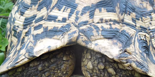 ADDRESSING ANXIETY workshop