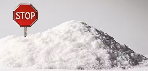 ABI - SAY NO TO SNOW, Scent Dog Trial INTRODUCING Lost & Found