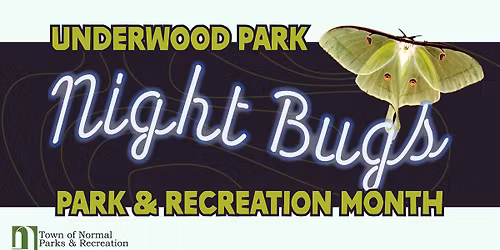 Night Bugs