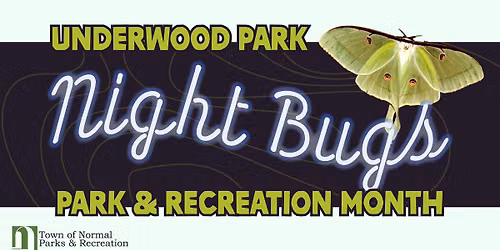 Night Bugs
