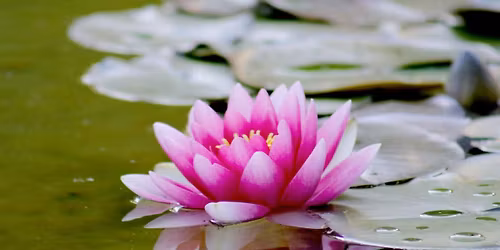 Meditation: Yoga Nidra guided group meditation - Wednesday 5:30pm