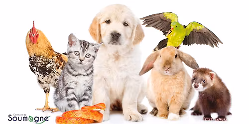 Journ\u00e9e du bien-\u00eatre animal