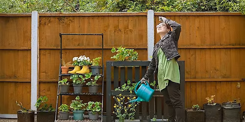 From Old Bean Grows Bak Choy@Woking