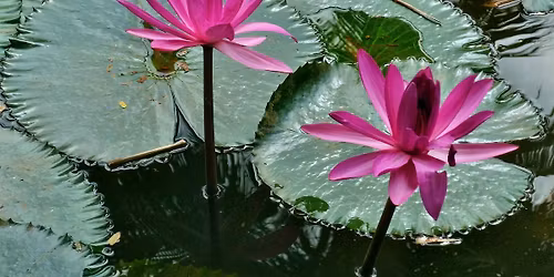 Reiki 2 Workshop with Jaslyn