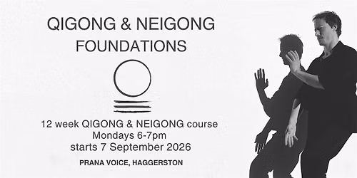 Qigong & Neigong Foundations 12 Week Course