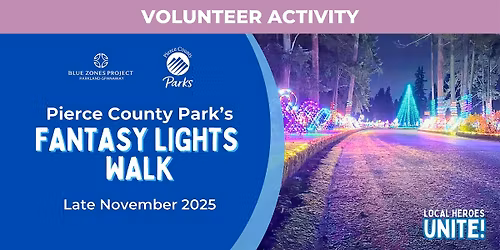 Fantasy Lights Walk Volunteer Experience - BZP PS