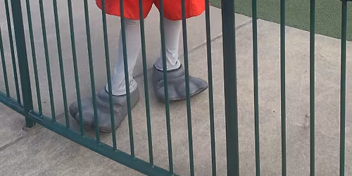 Great Lakes Loons Game Meet-and-Greet