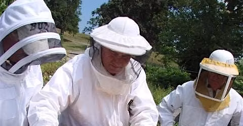 Beginning Beekeeping Rochester NY 2026