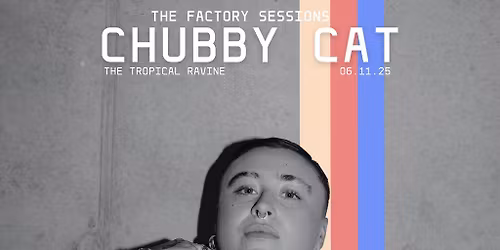 THE FACTORY SESSIONS: Chubby Cat