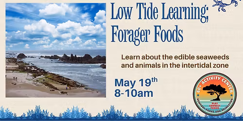 Low Tide Learning; Forager Foods
