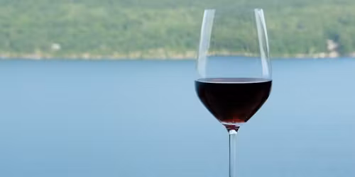 Pour Decisions: A Wine Tasting Experience