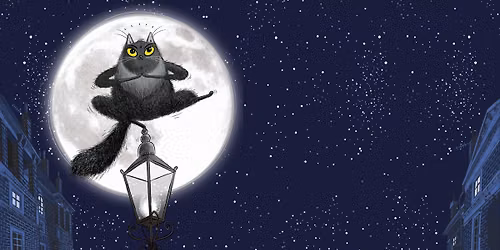 Toto the Ninja Cat