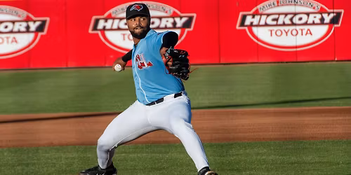 Myrtle Beach Pelicans vs. Hickory Crawdads