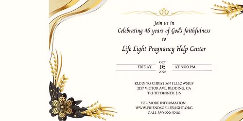 Life Light's Annual Auction