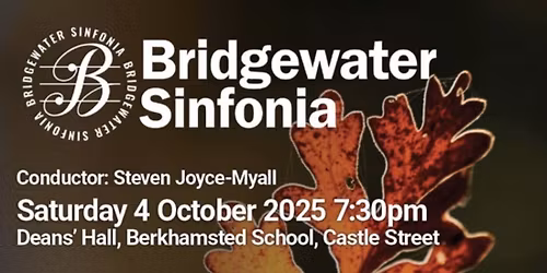 Bridgewater Sinfonia at The Centenary Theatre 