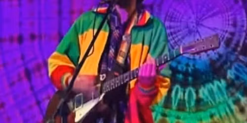 Young Lion on the patio 