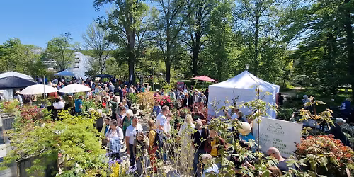 18. Pflanzenrarit\u00e4tenmarkt