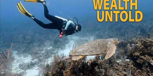 Film Screening: Wealth Untold