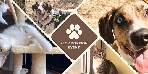 Petco Adoption Event