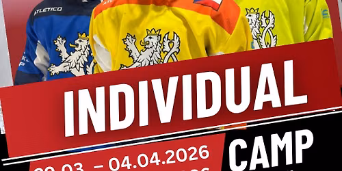 Individual Hockey Camp