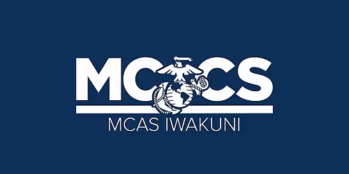 Aces Down, Sets Up (Volleyball Tournament)