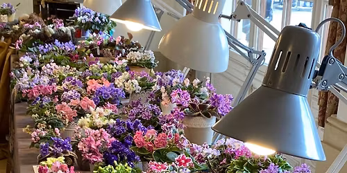 Ibolya Nap - Fokf\u00f6ldi Ibolya ki\u00e1ll\u00edt\u00e1s (G\u00f6d\u00f6ll\u0151i Kir\u00e1lyi Kast\u00e9ly)