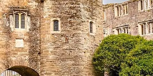Summer Walks: Tour of Berry Pomeroy Castle Led By Nigel Stainer