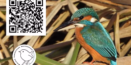 Spotkanie przyrodnicze w Filii nr 4 MBP w Opolu