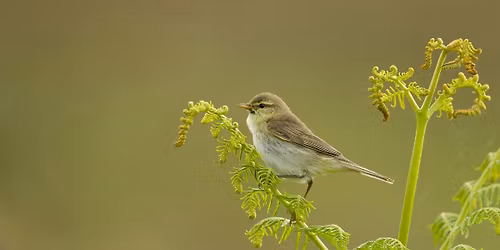 Guided Walk with Jeff