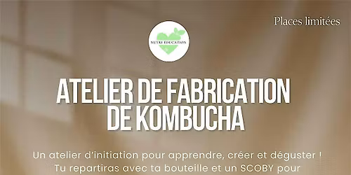 Atelier de fabrication de kombucha
