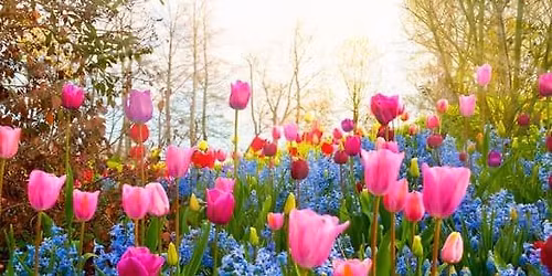 Easter Service and Spring Festival!