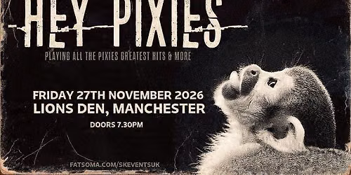 Hey Pixies - A Tribute To Pixies - Lions Den, Manchester