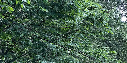 Hiking with Branch Brook Park Alliance